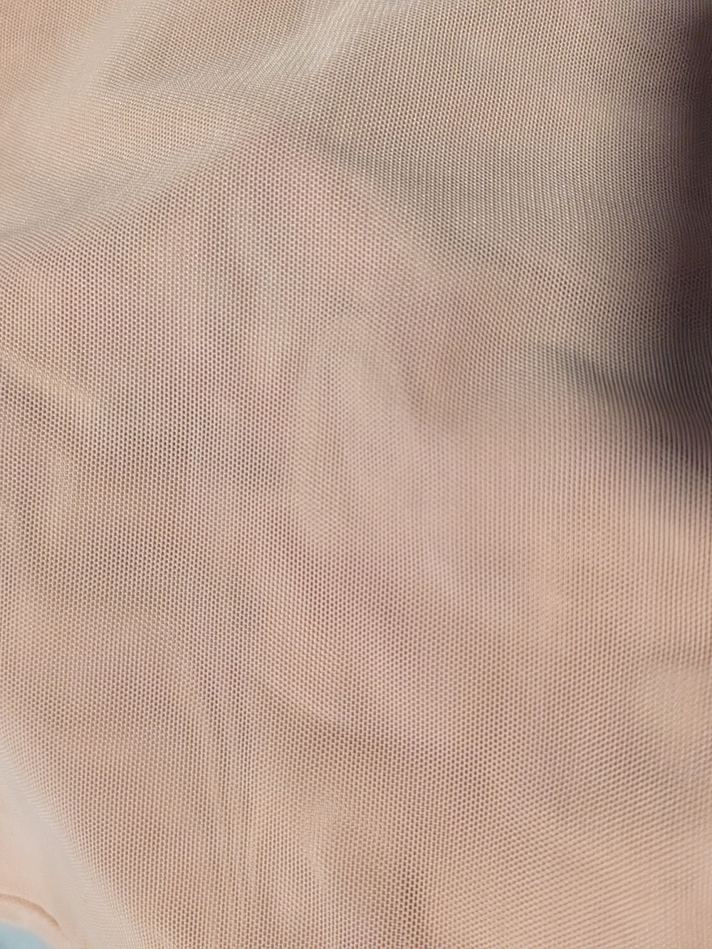 Sheer Mesh Shapewear - Tan - Picture 2 of 6